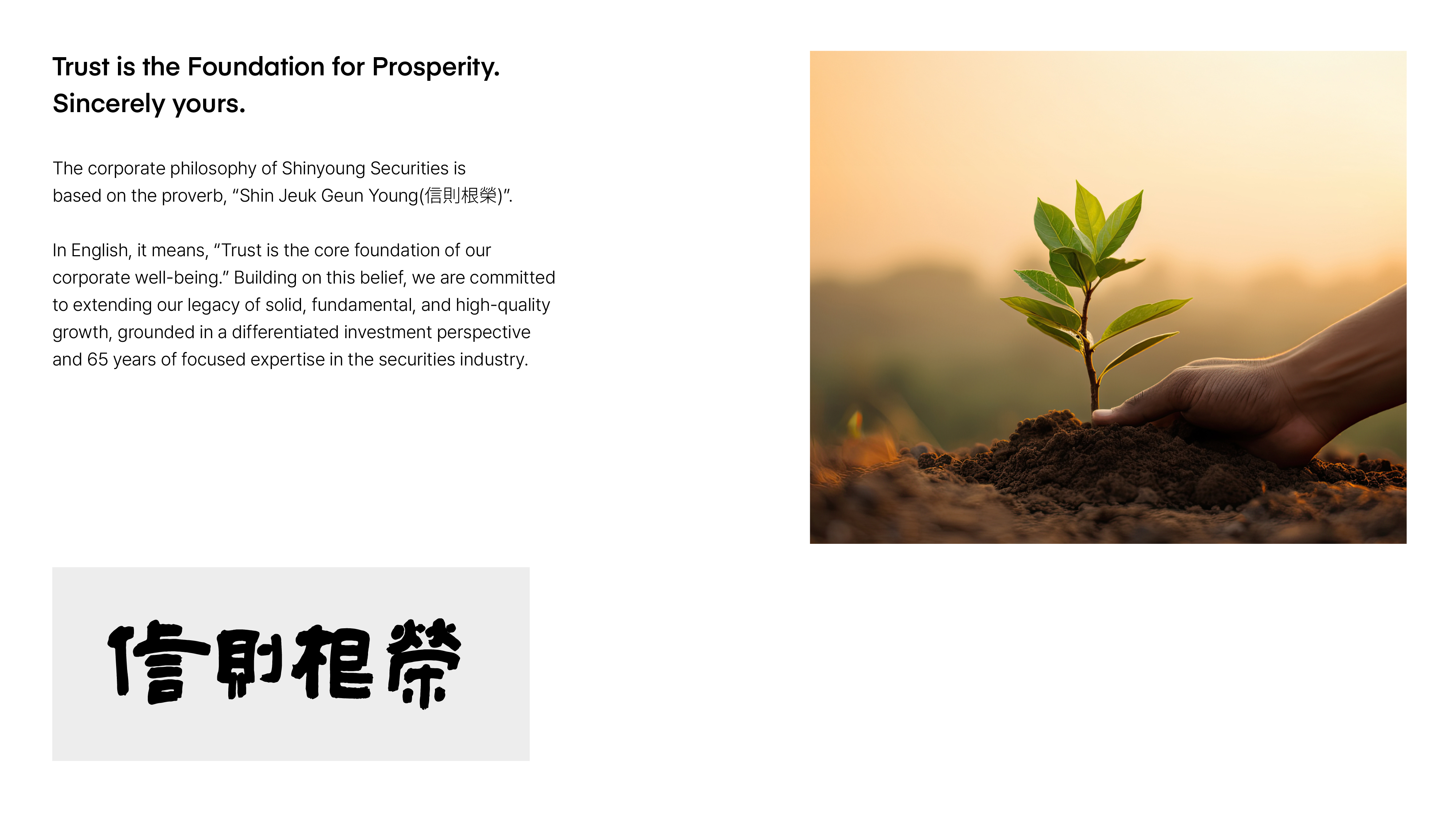 project content image