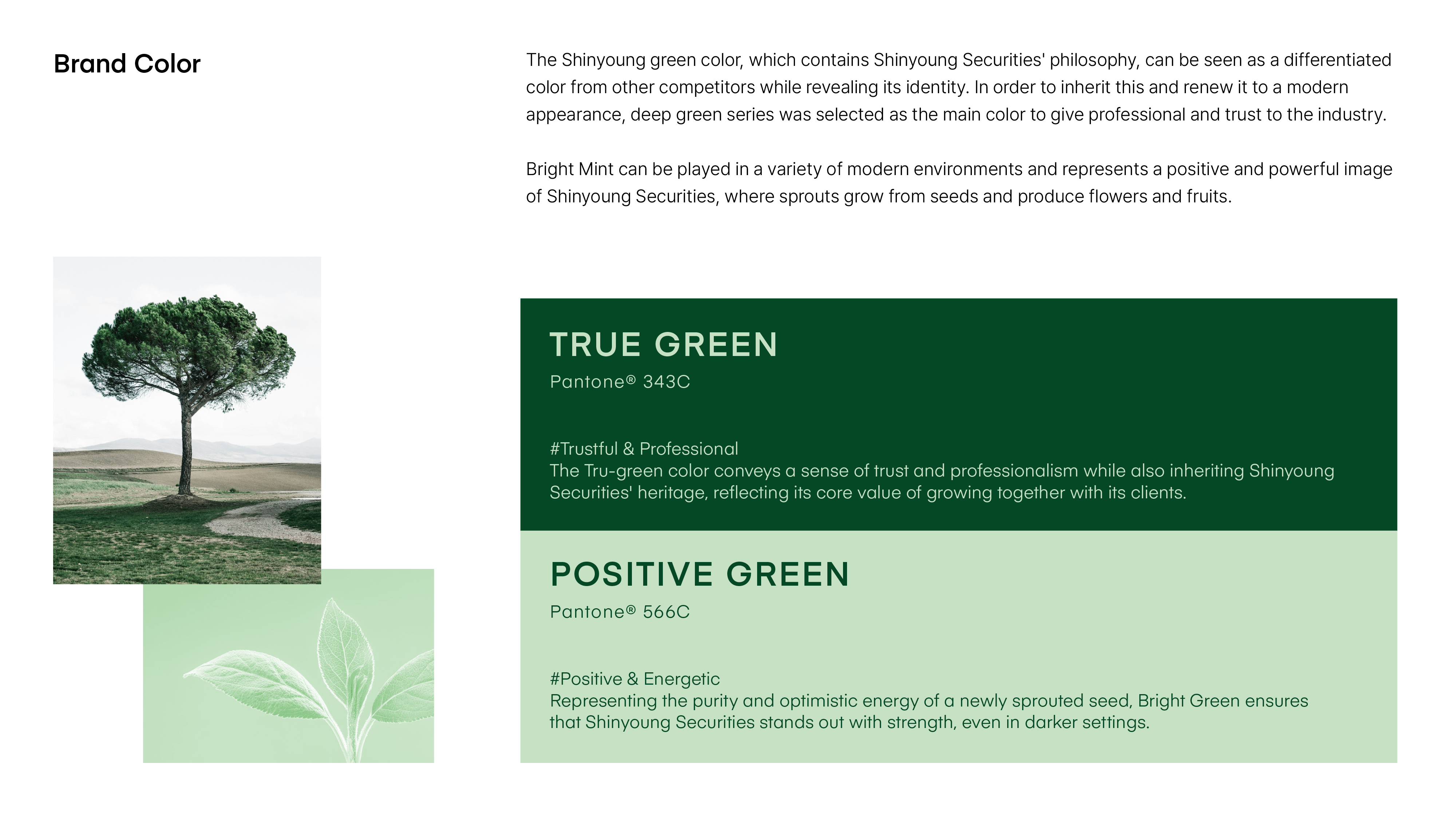 project content image