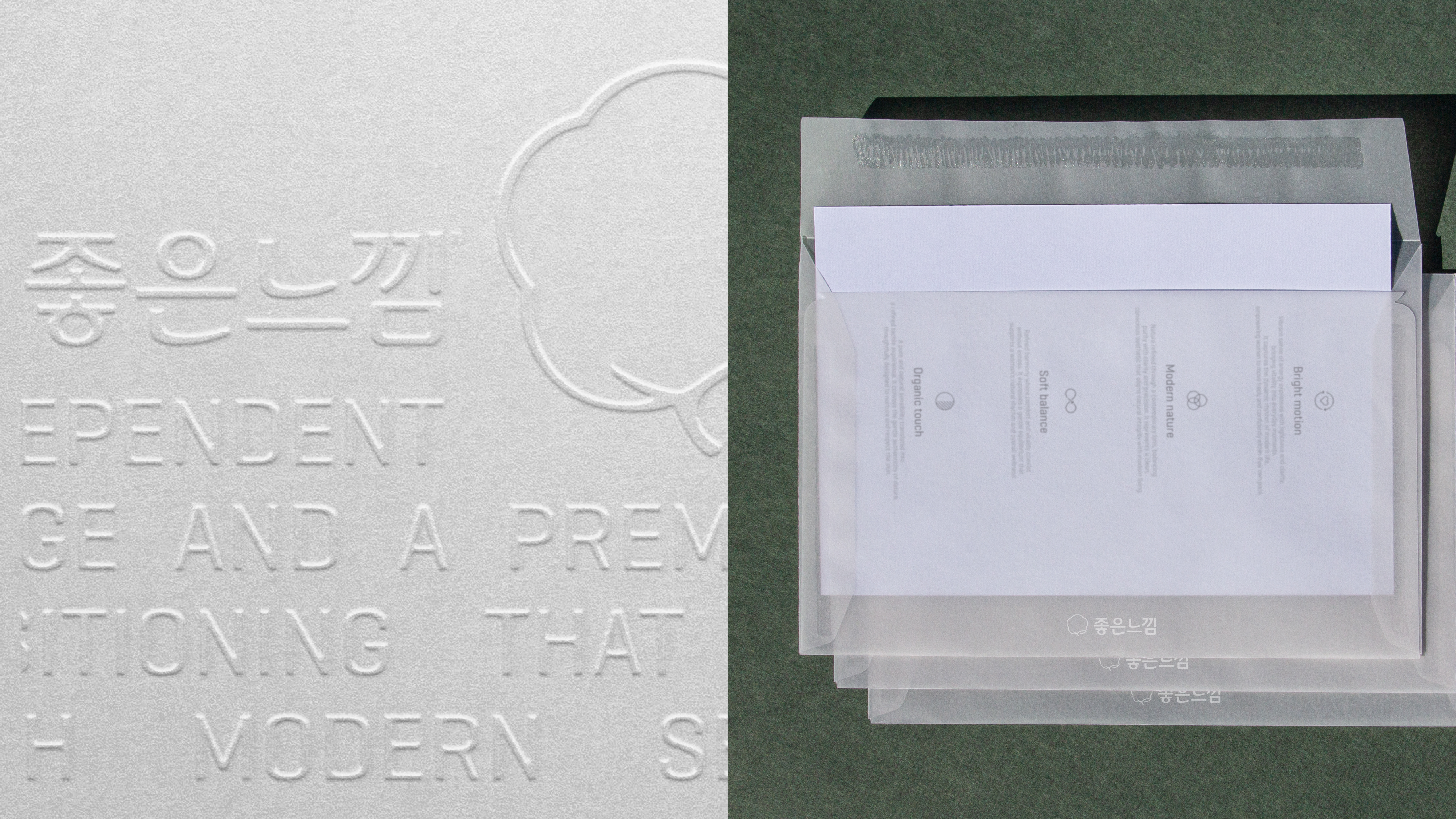 project content image