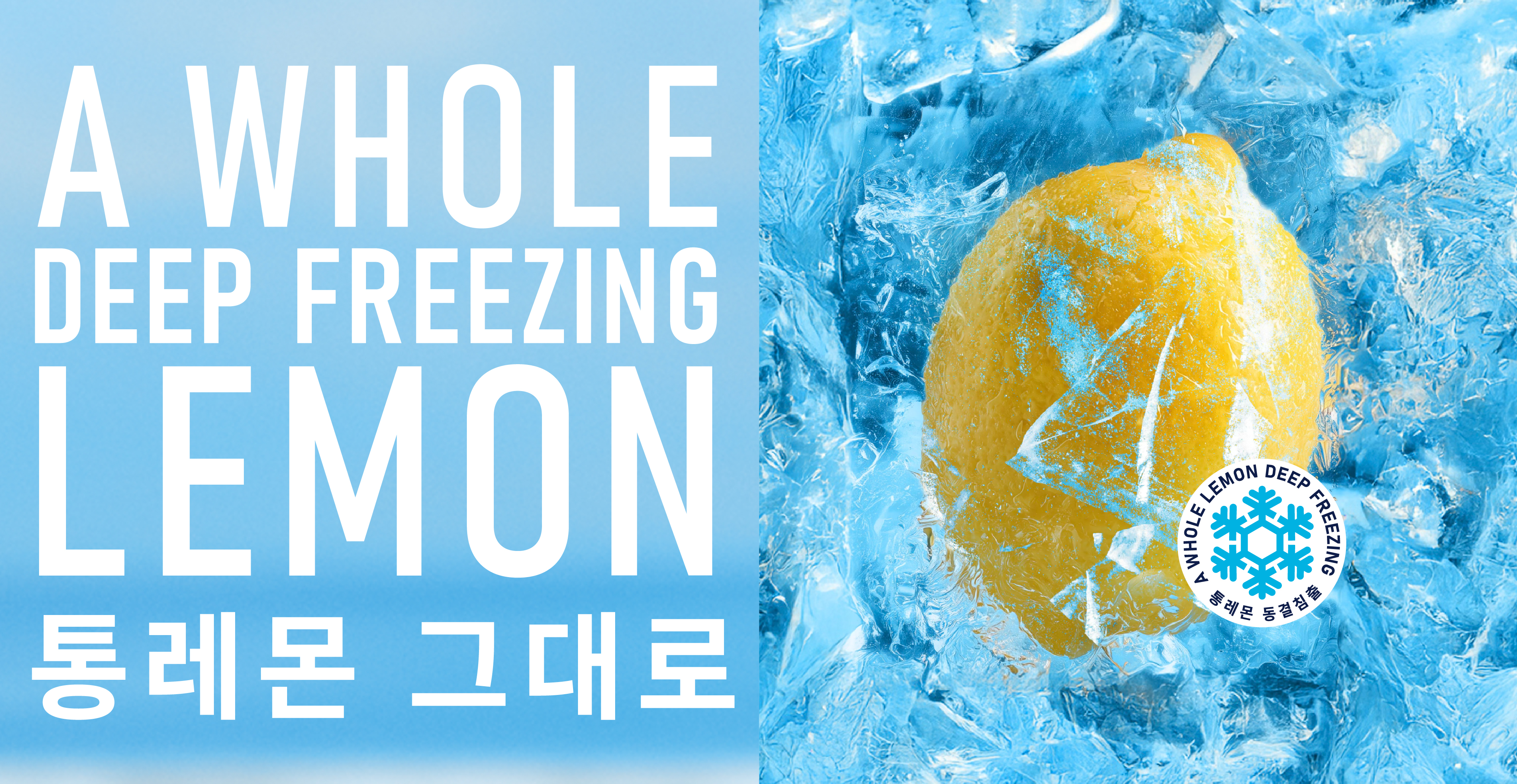 project content image