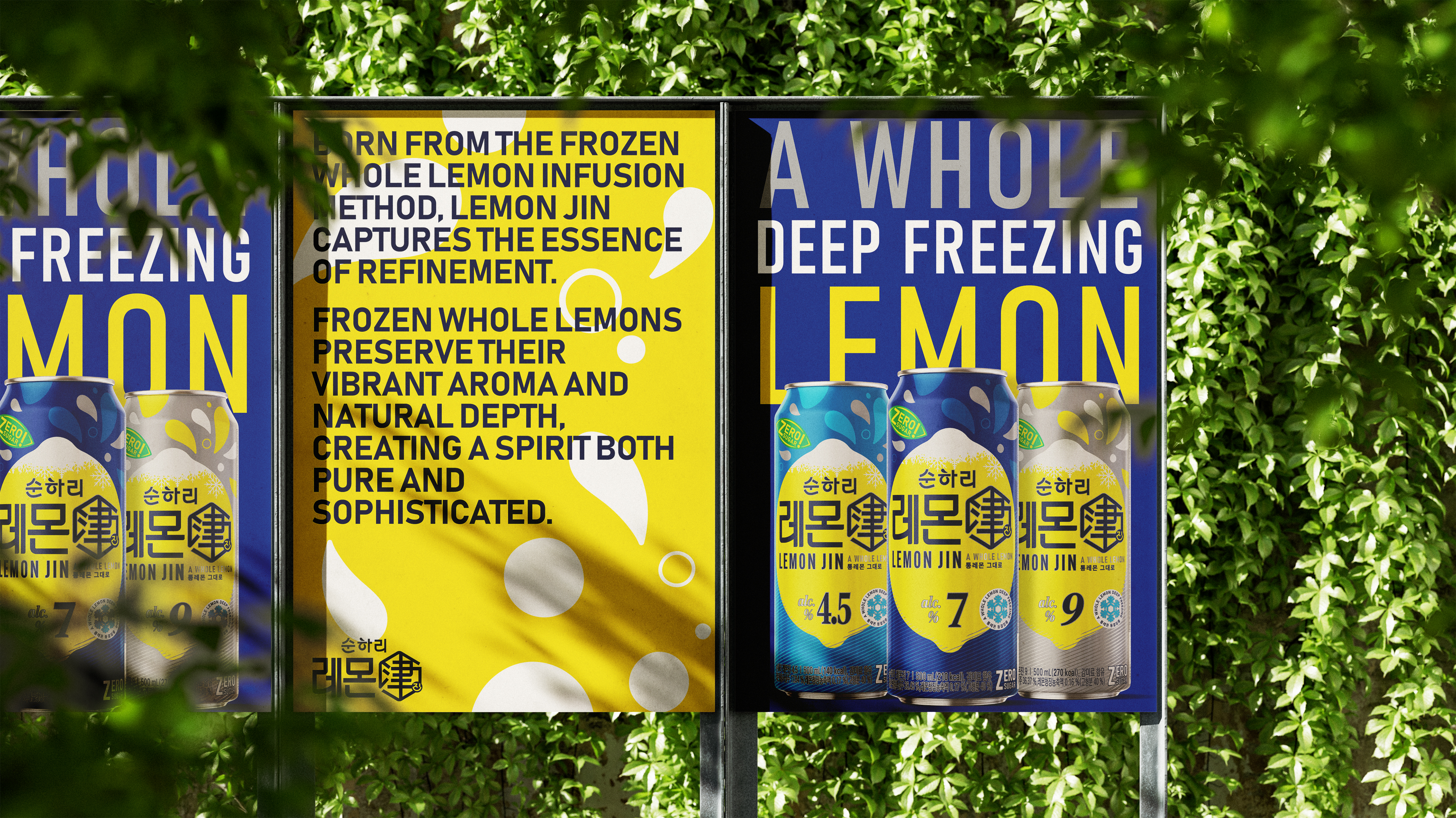 project content image